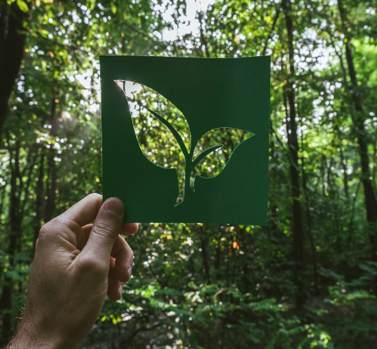 Team Green Hub Organic Cotton Garments & Recycled Polyester