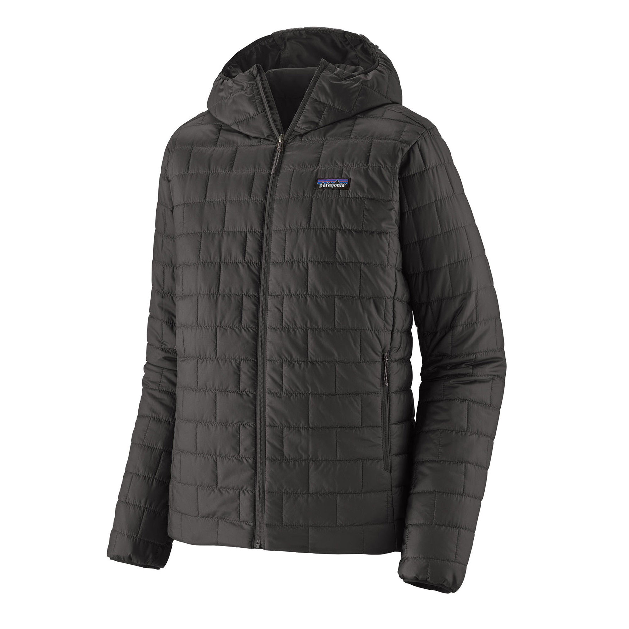Patagonia Mens Nano Puff Hoody