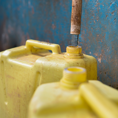 Banana Moon Clothing