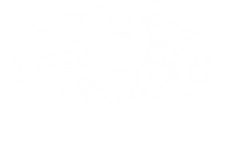 Fruit of the Loom