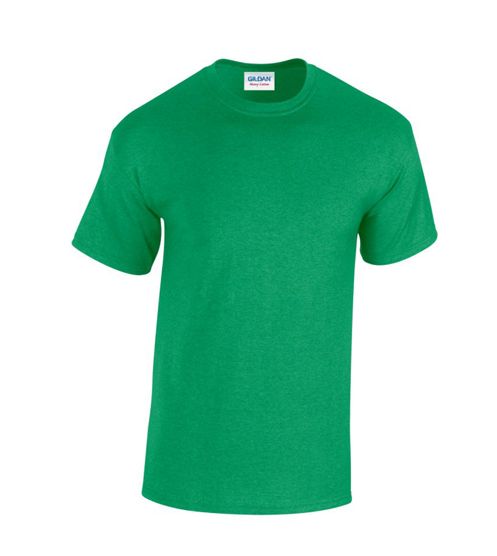 Heavy Cotton Adult T-Shirt | ANTIQUE IRISH GREEN