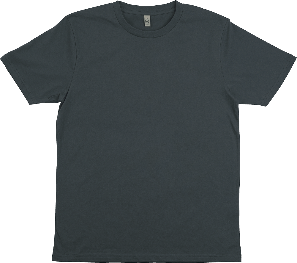 EarthPositive Unisex Classic Jersey T-Shirt | INK GREY