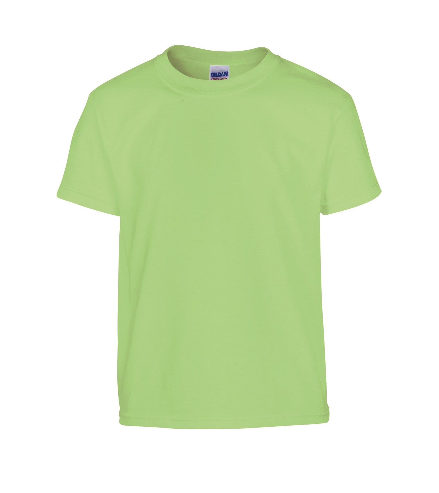 Heavy Cotton Youth T-Shirt | MINT GREEN