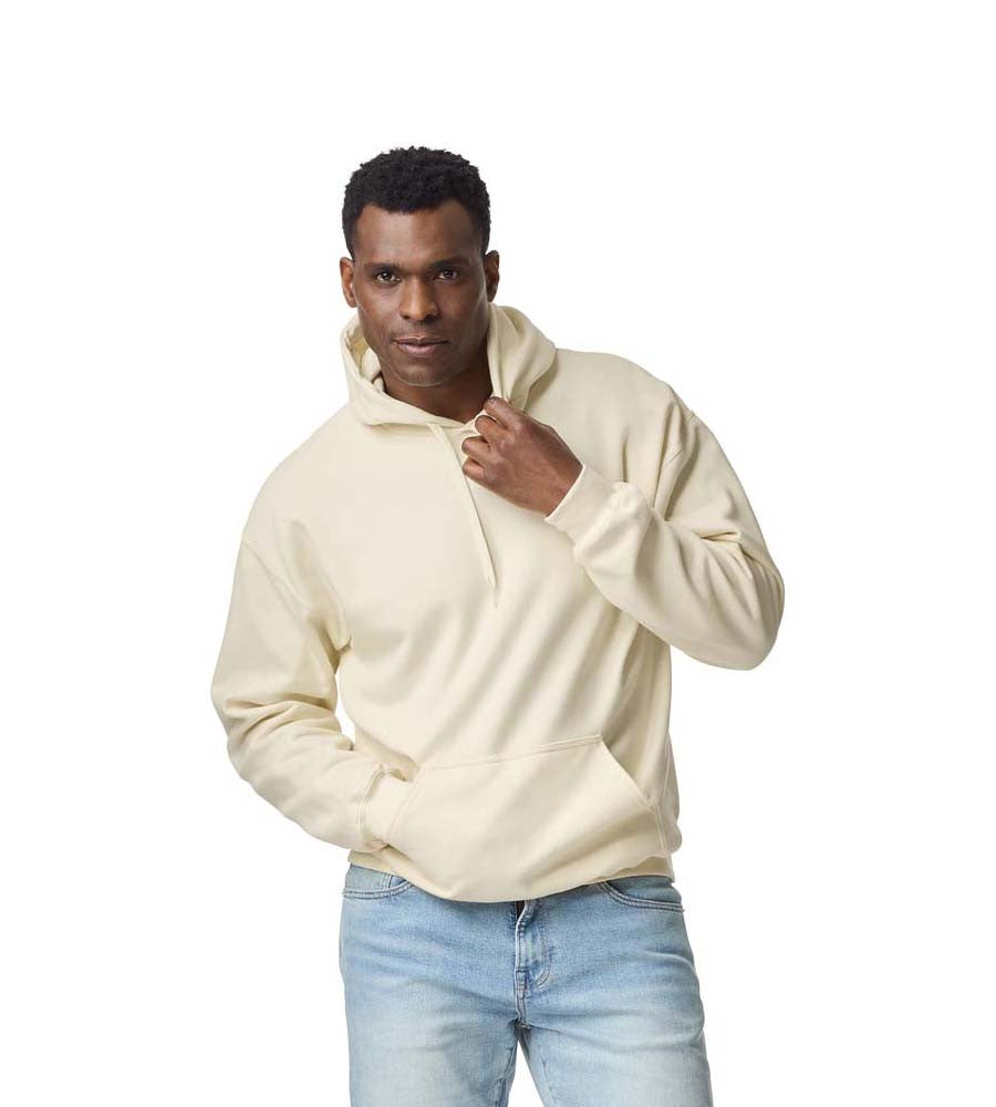 Softstyle Midweight Fleece Adult Hoodie | ASH GREY