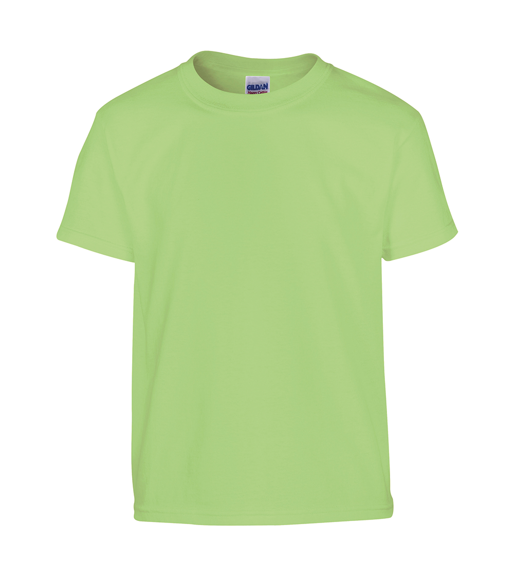 Heavy Cotton Adult T-Shirt | MINT
