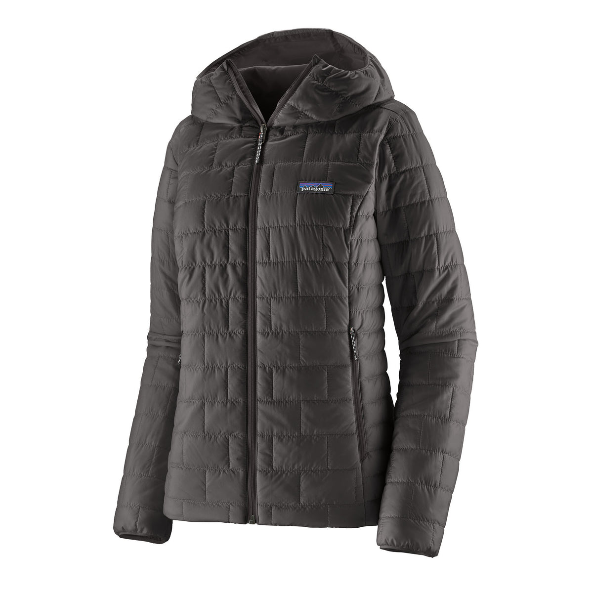 Patagonia Womens Nano Puff Hoody | BLACK