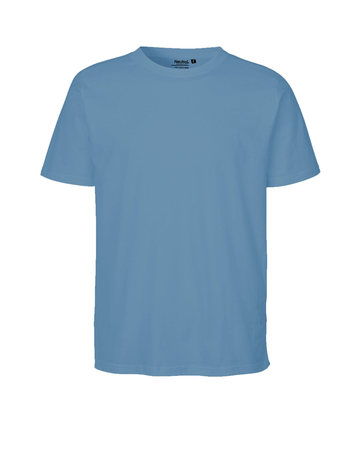 Neutral Regular T-Shirt | DUSTY INDIGO