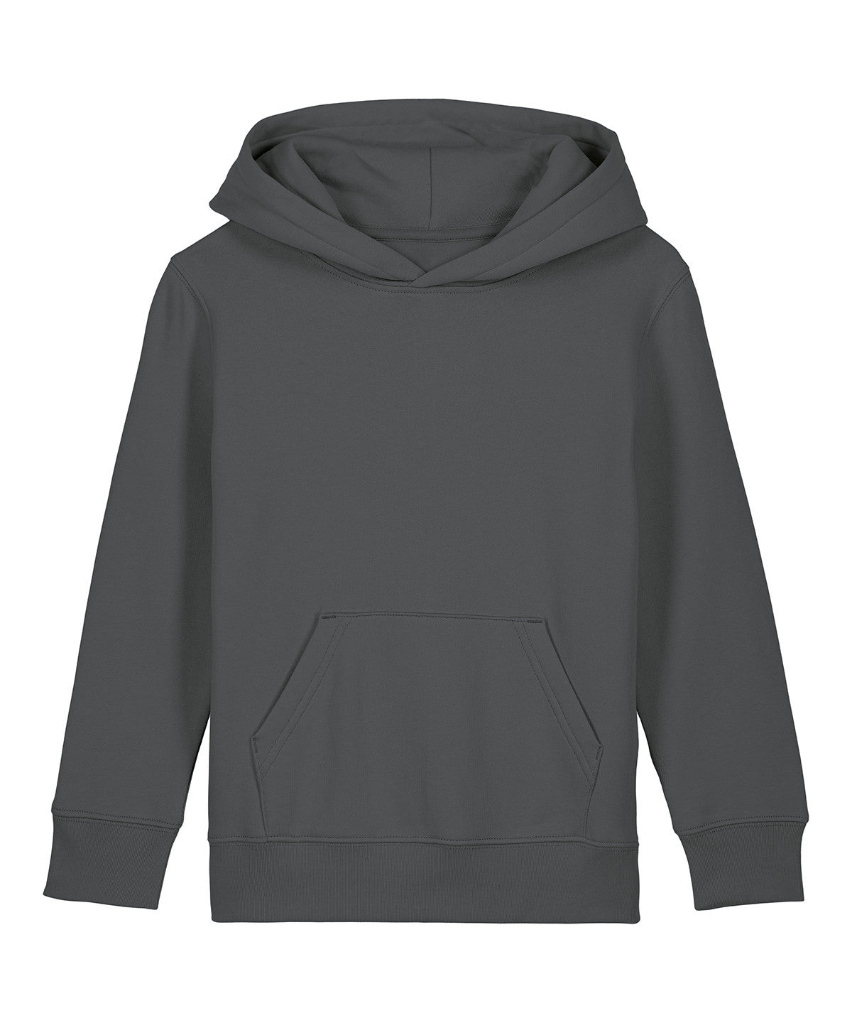 Kids Mini Cruiser 2.0 Iconic Hoodie Sweatshirt | ANTHRACITE